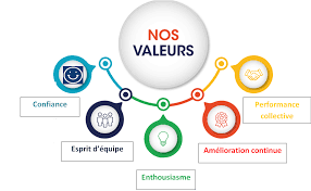 Valeurs de l'équipe